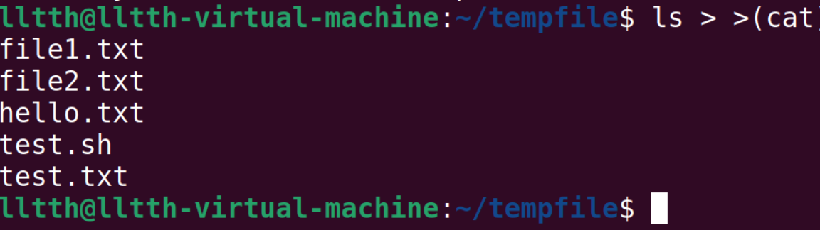 ls > >(cat)